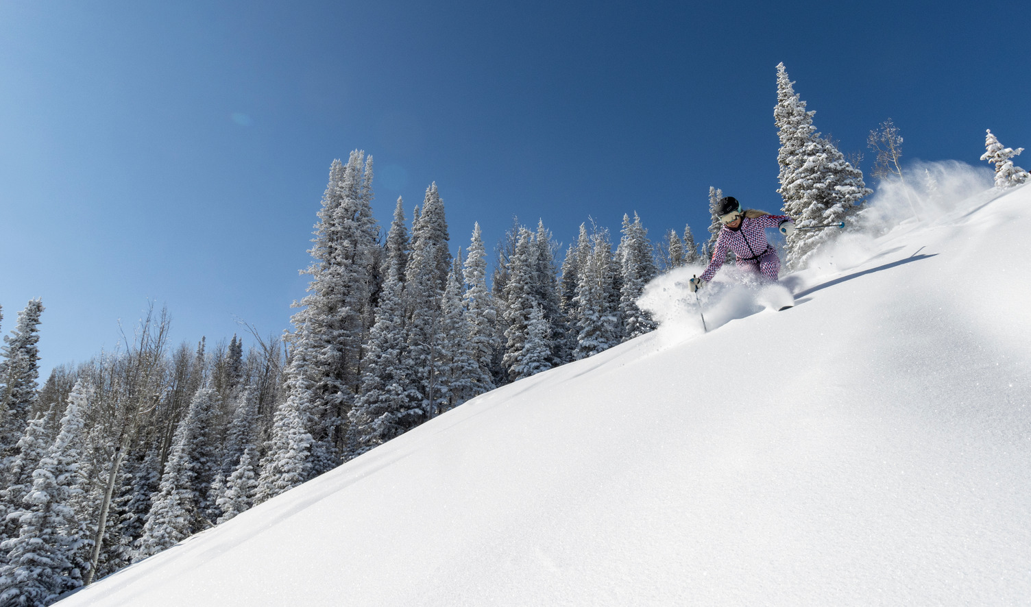 Skier on Deer Valley powder