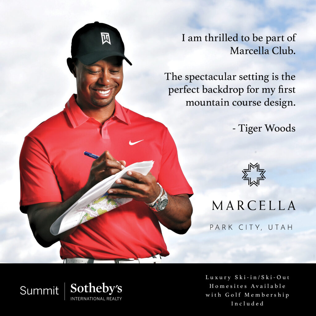 Marcella Content Hub20233